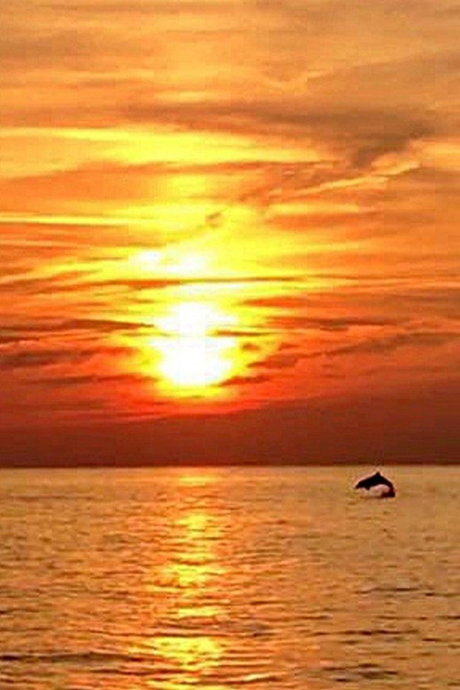 From Fazana: Dolphin watching sightseeing cruise at sunset - Fazana Pier to Brijuni National Park: the easy start