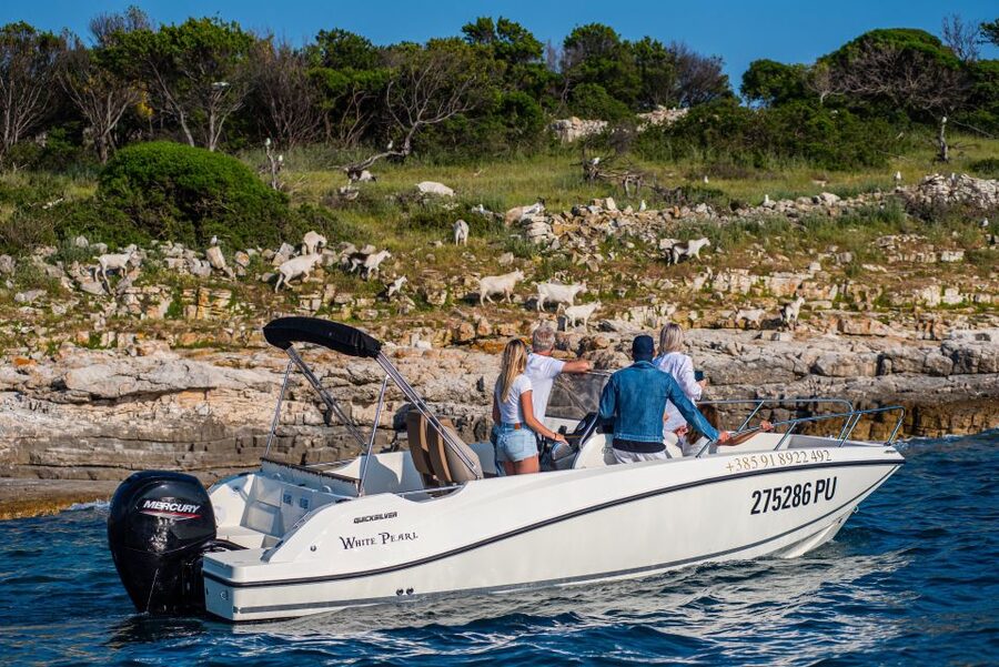 From Fažana: Private boat tour of Brijuni Islands - Key highlights and what they mean for you