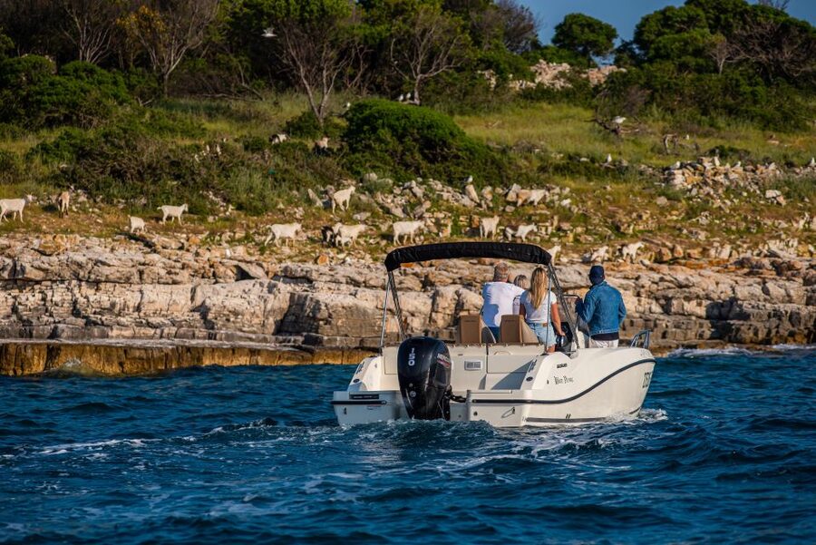 From Fažana: Private boat tour of Brijuni Islands - Should you book this Brijuni private boat tour?