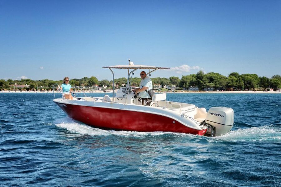 From Fazana: Private sunset dolphin tour - Who should book this Fazana sunset dolphin tour