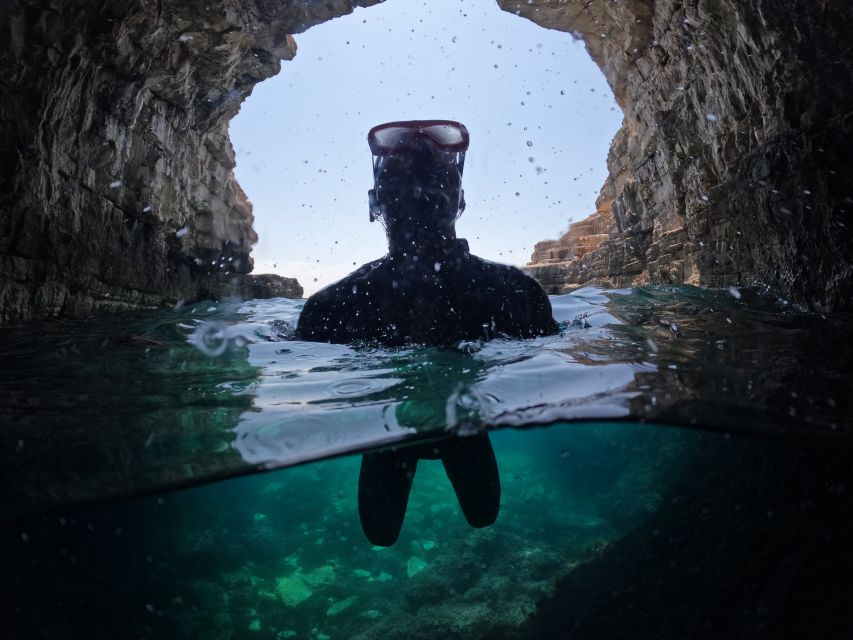 From Fažana: snorkeling at sea cave and Brijuni Island - Kozada and Brijuni National Park Waters: Where the Fish Are the Point
