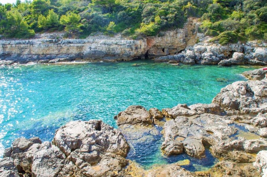 From Fažana: snorkeling at sea cave and Brijuni Island - Price, Value, and When It Makes Financial Sense