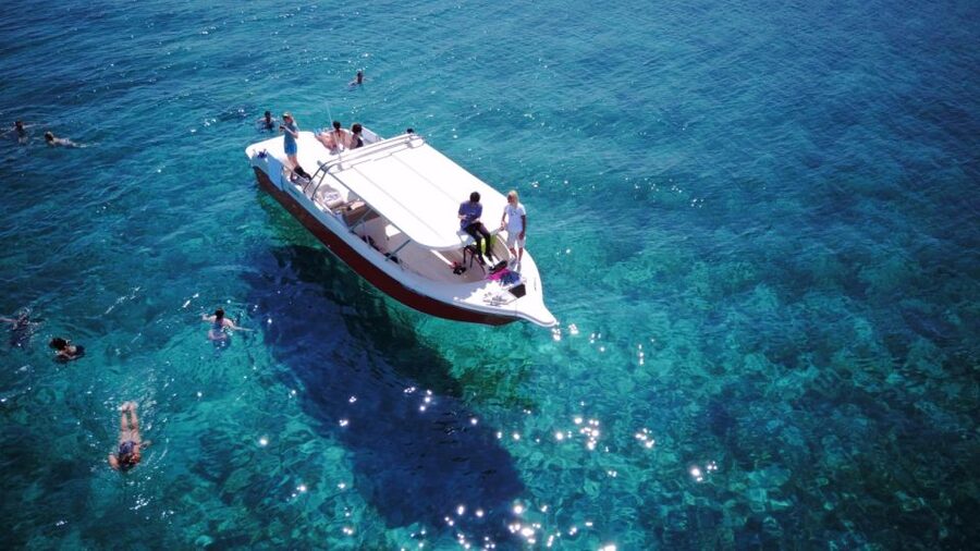 From Hvar: Vis Island and Blue Cave Speedboat Tour - Key points to know before you go