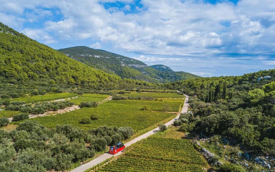 From Korcula Town: Local Wine & Sightseeing Half-Day Tour - Viewpoint photo stops and the reality of island roads