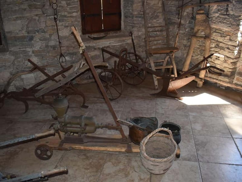 From Korcula Town: Local Wine & Sightseeing Half-Day Tour - The vineyard stop and the part that makes it feel educational