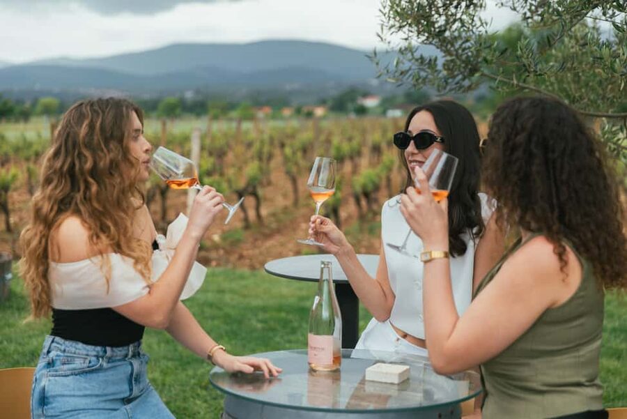 From Makarska : Wine Tasting Grabovac Tour - From Makarska to the countryside: pickup that actually works