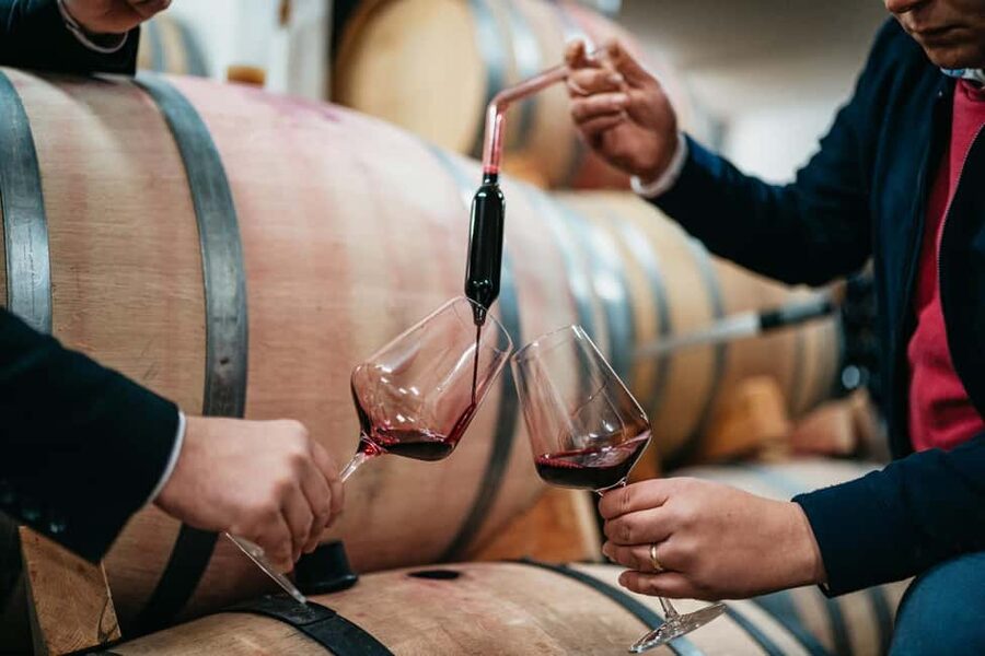 From Makarska : Wine Tasting Grabovac Tour - The five-wine tasting: what you get and how to enjoy it