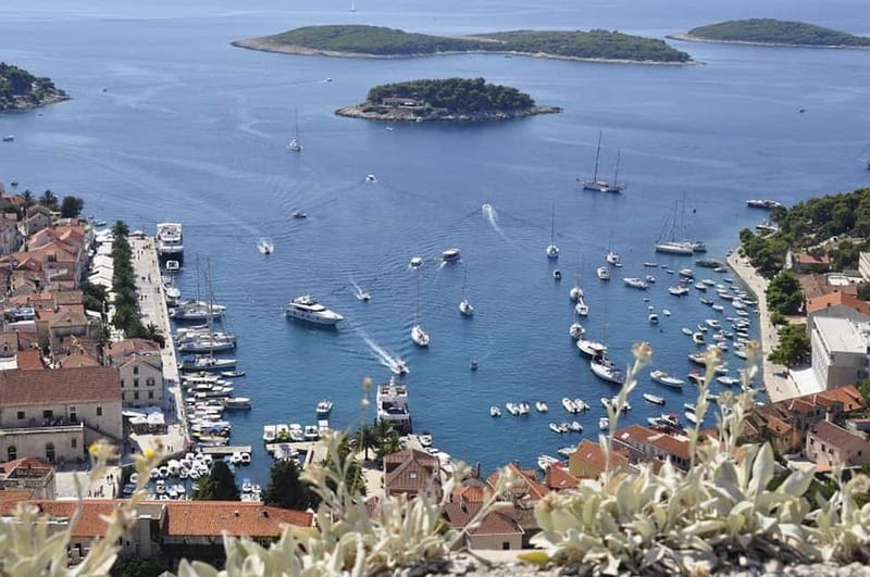 From Milna or Supetar: Magical Blue Cave Island Hopping - Why This Speedboat Route Feels Efficient in Dalmatia