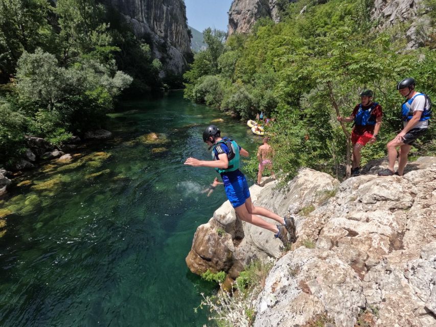 From Omiš/Split: Cetina River Rafting Experience - Wildlife and river moments you can enjoy between splashes