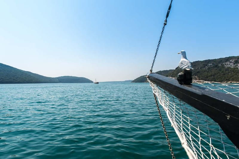 From Poreč: Boat Day Trip to Rovinj with Fish Lunch - Key things I’d circle before you book