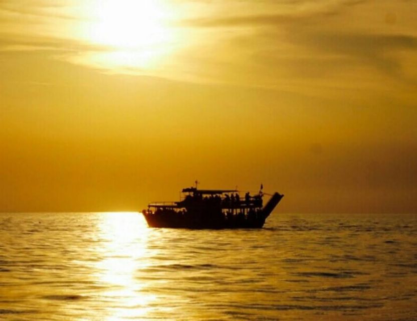 From Poreč: Evening Dolphin Cruise with Welcome Drink - Out to the dolphins: what you can expect when the captain searches