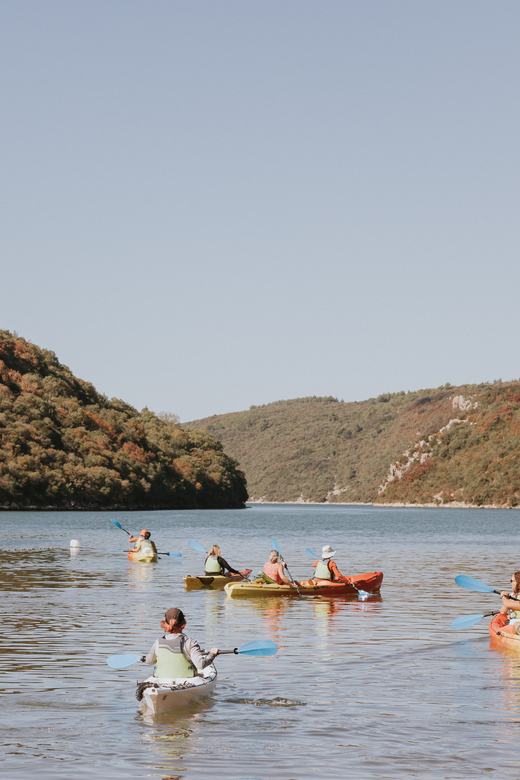 From Poreč: Lim Bay Sea Kayaking Day Trip - What makes this Lim Bay kayak day feel special