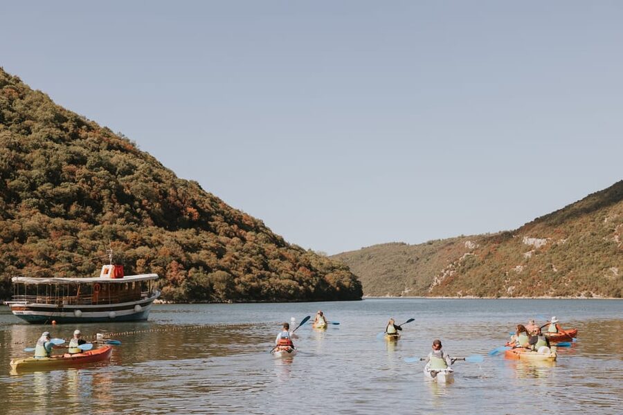 From Poreč: Lim Bay Sea Kayaking Day Trip - The swim-and-snack break you’ll actually remember