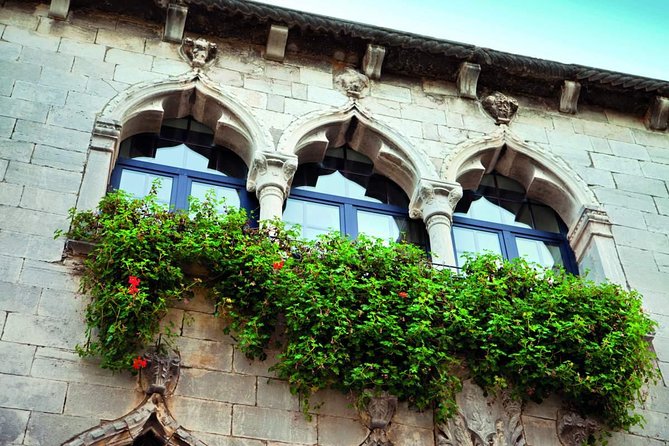 From Pula or Medulin: Istria in one day tour - Price and What Feels Like Good Value for $119.47