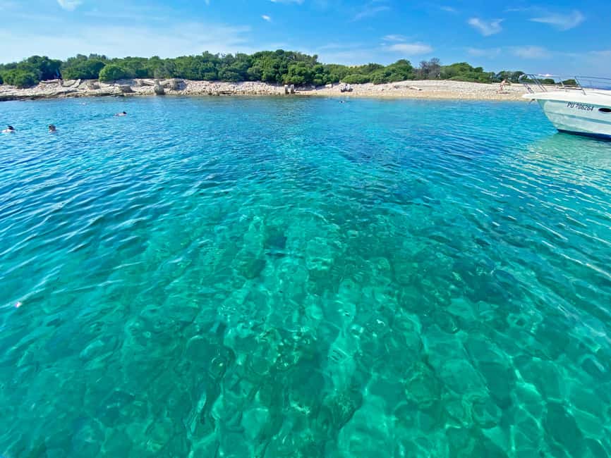 From Pula: Rovinj & NP Brijuni cruise with Red Island visit - Red Island break: swimming, snorkeling, and a little history by the water