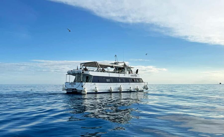 From Pula: Rovinj & NP Brijuni cruise with Red Island visit - Rovinj from the water, then real time to walk