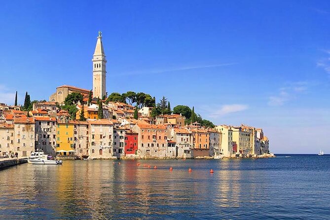 From Rovinj: Istria in one day tour - Motovun hilltop walls and truffles: the day’s main event
