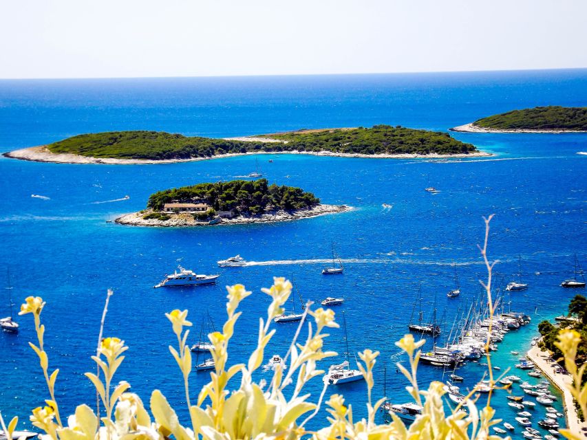 From Split: Blue Cave and Hvar Guided Tour by Luxury Boat - Guide style and the art of handling waiting time