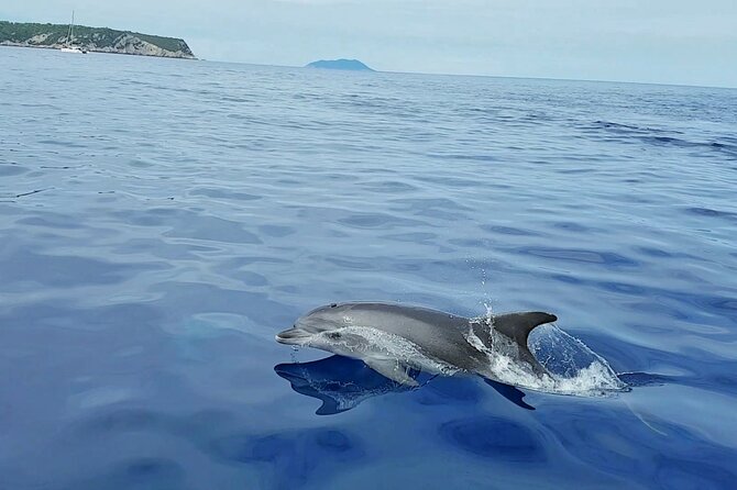 From Split: Half-Day Blue Lagoon and 3 Islands Boat Tour - Blue Lagoon Bay: snorkel, swim, and sunbathe for 1.5 hours
