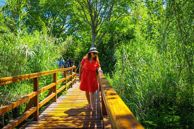 From Split: Krka Waterfalls Tour - Skradin break: swimming, small-town wandering, and wine tasting if you want it