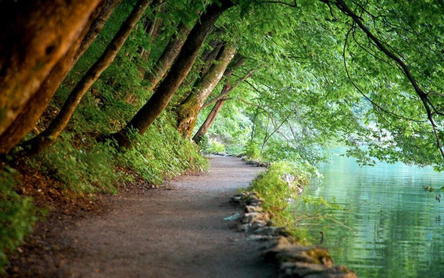 From Split or Trogir: Plitvice Lakes Guided Full-Day Tour - The Drive Through Lika: Views You Earn While You Ride