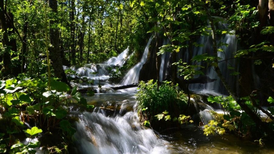 From Split or Trogir: Plitvice Lakes Trip with Entry Ticket - A 10 to 12 hour Plitvice day trip from Split or Trogir