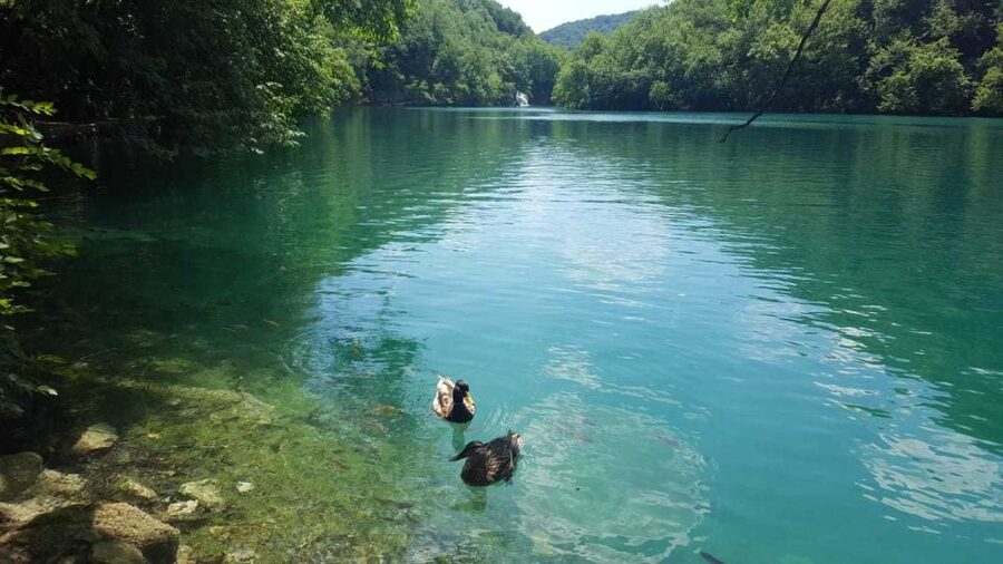 From Split or Trogir: Plitvice Lakes Trip with Entry Ticket - Vila Velebita break: lunch time and a realistic pause