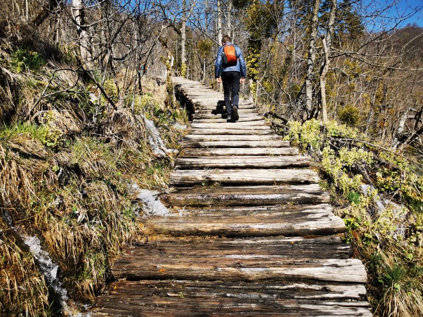 From Split: Plitvice Lakes Full-Day Trip - Lower Lakes to the Canyon: The Best Way to Use Limited Time