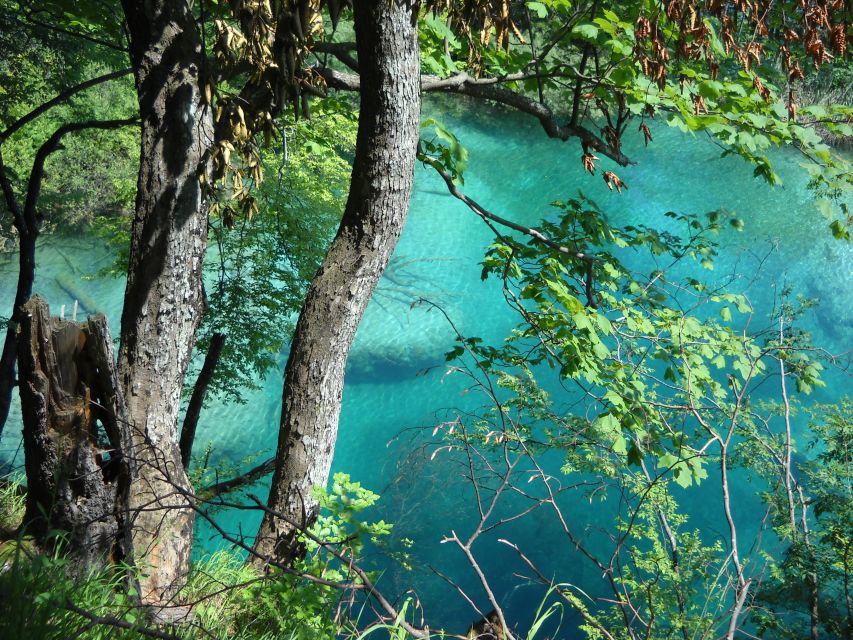 From Split: Plitvice Lakes Full-Day Trip - Guided Route vs Free Roam: The Real Advantage of a Mixed Style Day