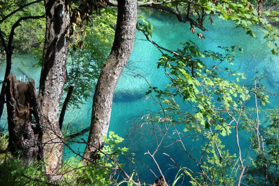 From Split: Plitvice Lakes Fully-Guided Day Tour - Key highlights worth circling