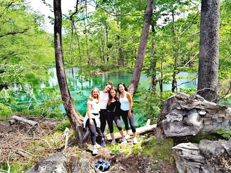 From Split: Plitvice Lakes Guided tour - Lower Lakes and the electric train: how the tour ends with big views
