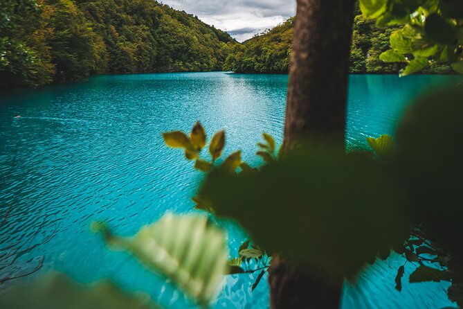 From Split: Plitvice Lakes - Private tour - Lower Lakes and Sastavci Waterfalls: A Canyon Finish