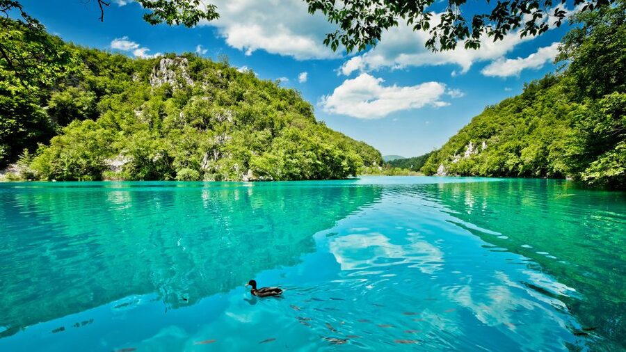 From Split: Transfer to Zagreb with Stop at Plitvice Lakes - What to bring: small items that help a lot at Plitvice