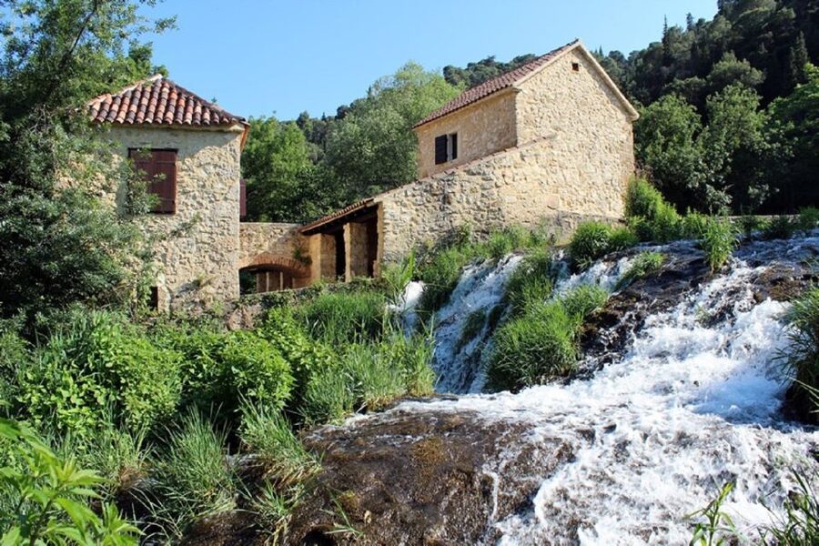 From Split & Trogir: Krka Waterfalls and Primošten - Wildlife at Krka: what to look for beyond the obvious