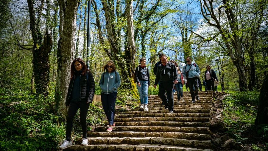 From Split/Trogir/Omiš: Plitvice Lakes Guided Group Tour - Price and value: what you are paying for (and what costs extra)