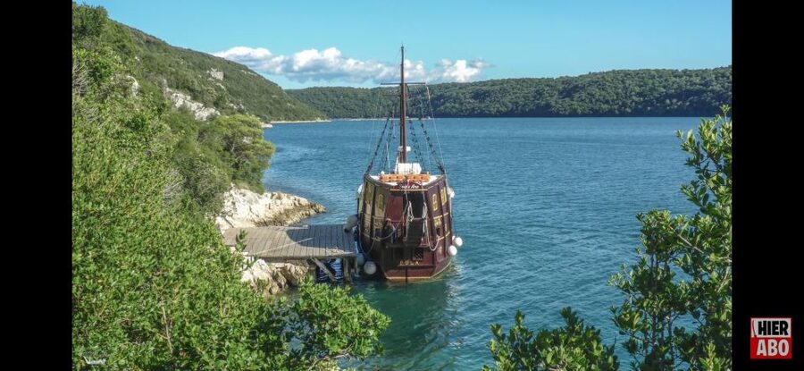From Vrsar: Boat Trip to Rovinj and Lim Fjord - Key Highlights To Know Before You Go