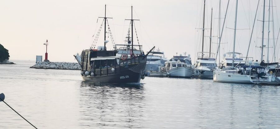 From Vrsar: Boat Trip to Rovinj and Lim Fjord - What’s Included, And Why It Changes The Value
