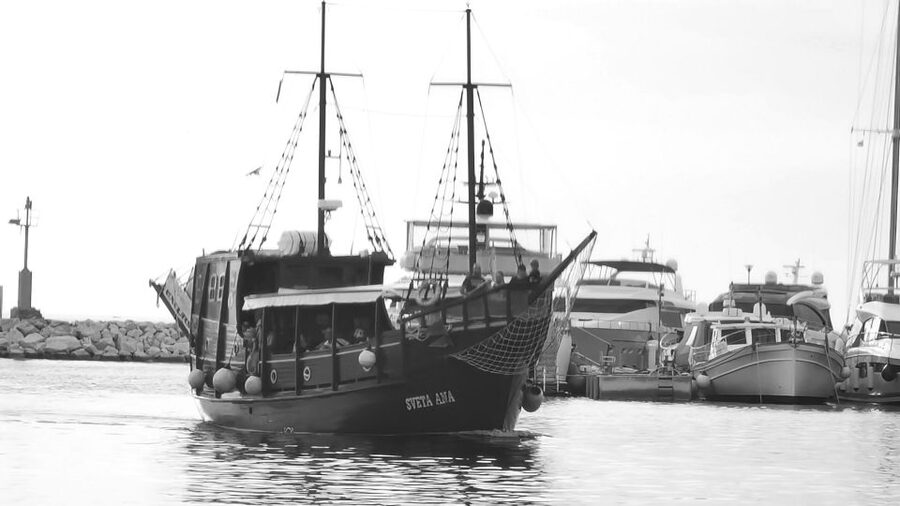 From Vrsar: Boat Trip to Rovinj and Lim Fjord - Timing And Pace: The Smart Way To Spend 5 Hours