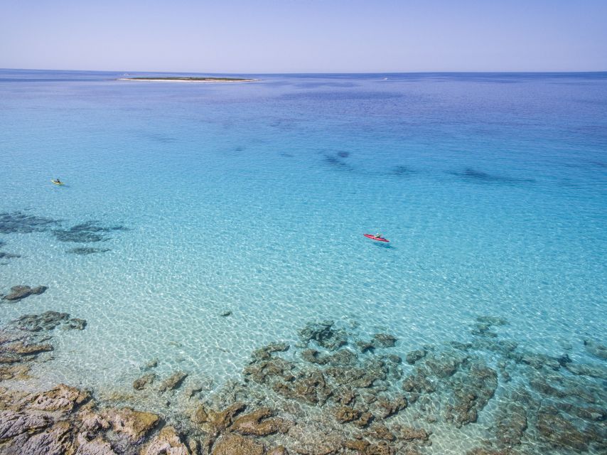 From Zadar: Dugi Otok Half-Day Kayak Adventure - Veli Žal and Mezanj: beach choices before you paddle for real