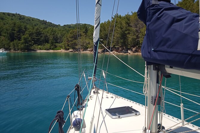 From Zadar: Half day sailing tour - Key points before you book