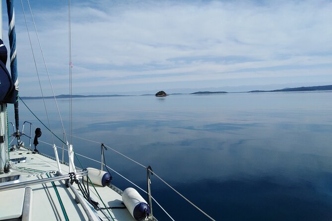 From Zadar: Half day sailing tour - Packing tips and who this suits best
