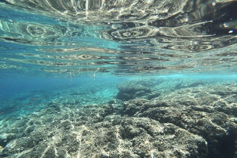 From Zadar: Half/Full Day Sailing Tour - Quick hits for your Zadar sailing day