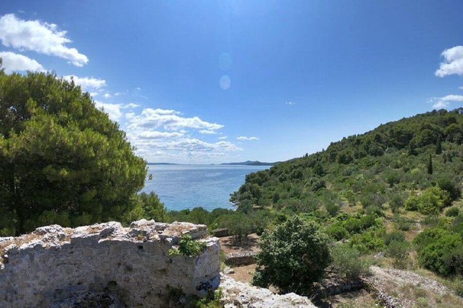 From Zadar: Half/Full Day Sailing Tour - The half-day schedule: how the 4 hours are best used