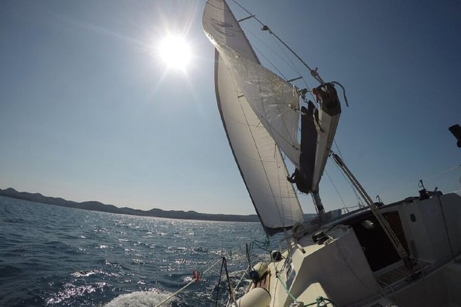 From Zadar: Half/Full Day Sailing Tour - Price and value: where the $49 really lands