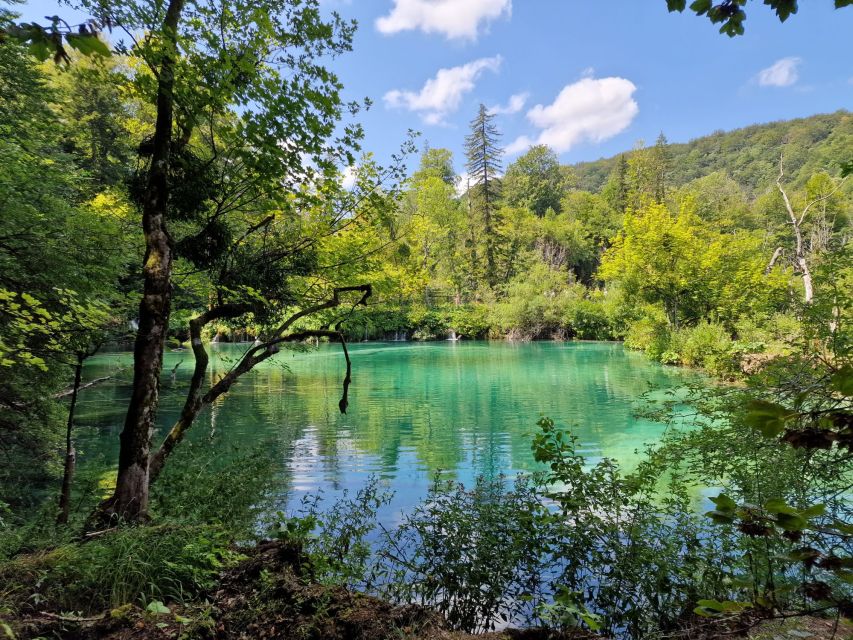 From Zadar: Krka Waterfalls Tour with Panoramic Boat Ride - The panoramic boat ride in the park: the view you can’t fake