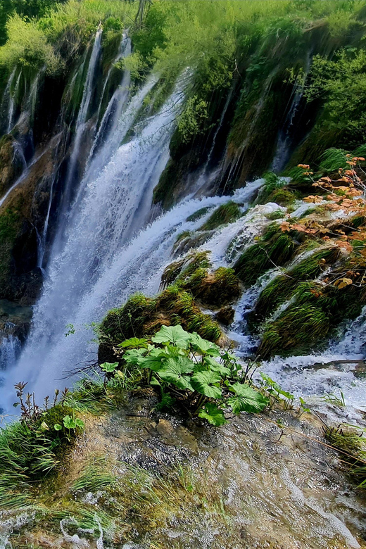 From Zadar: Plitvice Lakes Day Trip with Guide and Boat Tour - Key things to know before you go