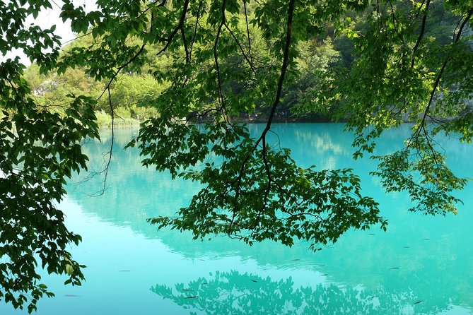 From Zadar: Plitvice Lakes Guided Day Tour with Tickets - Price and value: what you pay for beyond the park ticket