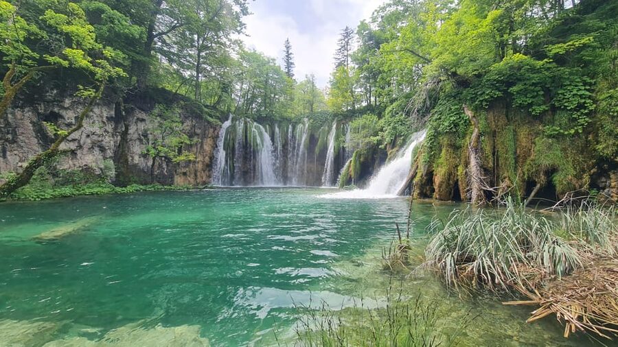 From Zadar: Plitvice Lakes Guided Tour with Boat & Train - The electric boat on Lake Kozjak: the quiet, showpiece moment