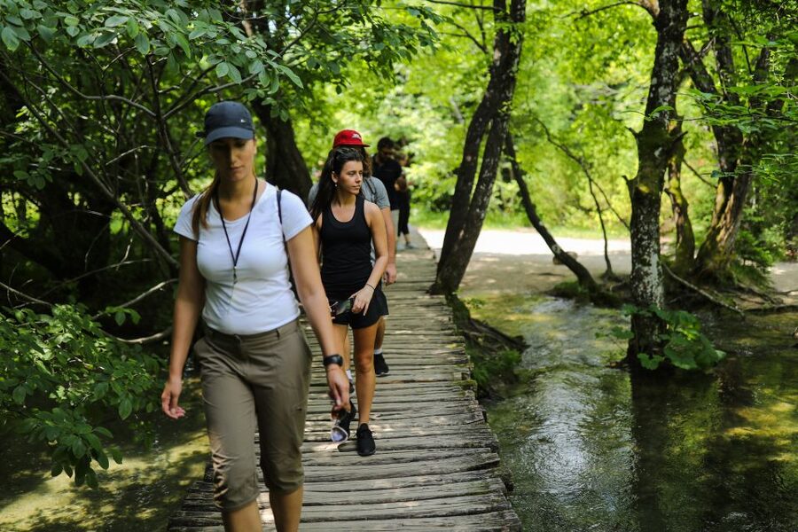 From Zadar: Round-Trip Transfer to Plitvice Lakes - Key Things to Know Before You Go