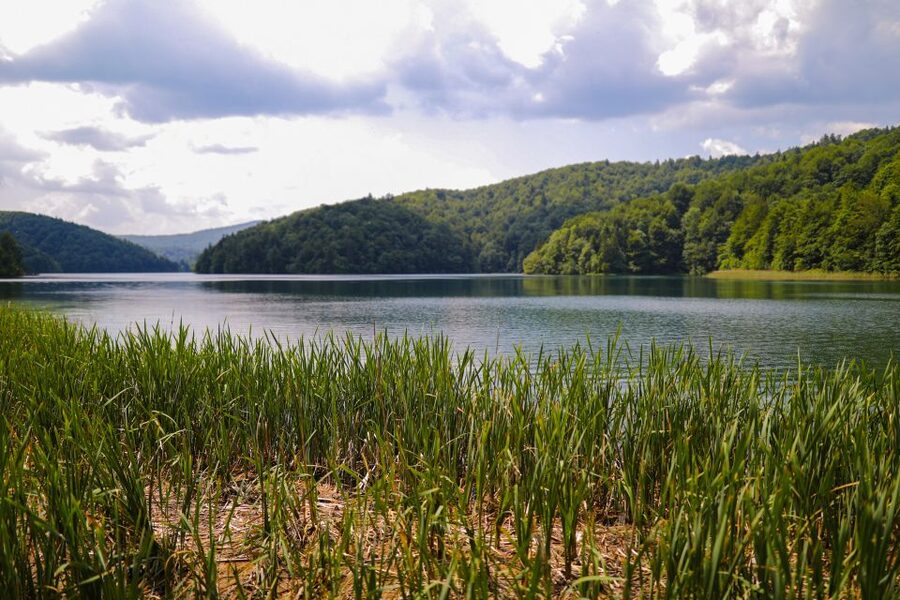 From Zadar: Round-Trip Transfer to Plitvice Lakes - Waterfalls and Terraced Lakes: What to Prioritize on Limited Time